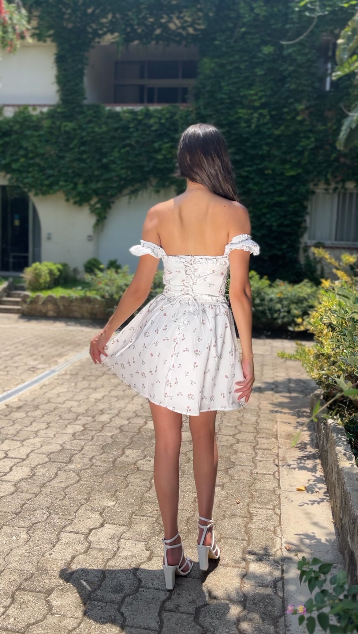 White Daisy Delight
