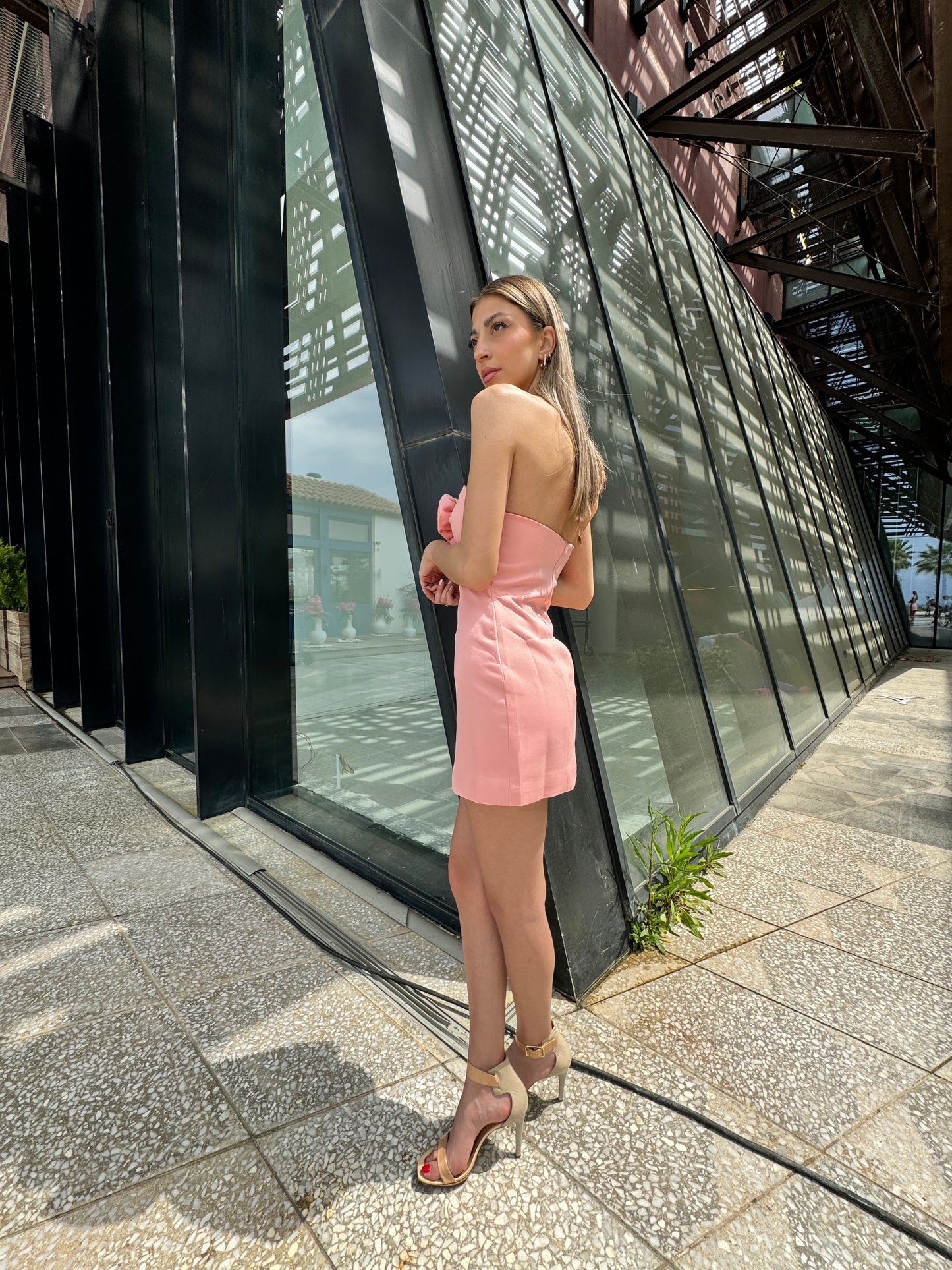 Blushy Dress