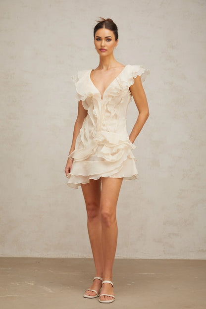 Ruffled Mini Dress